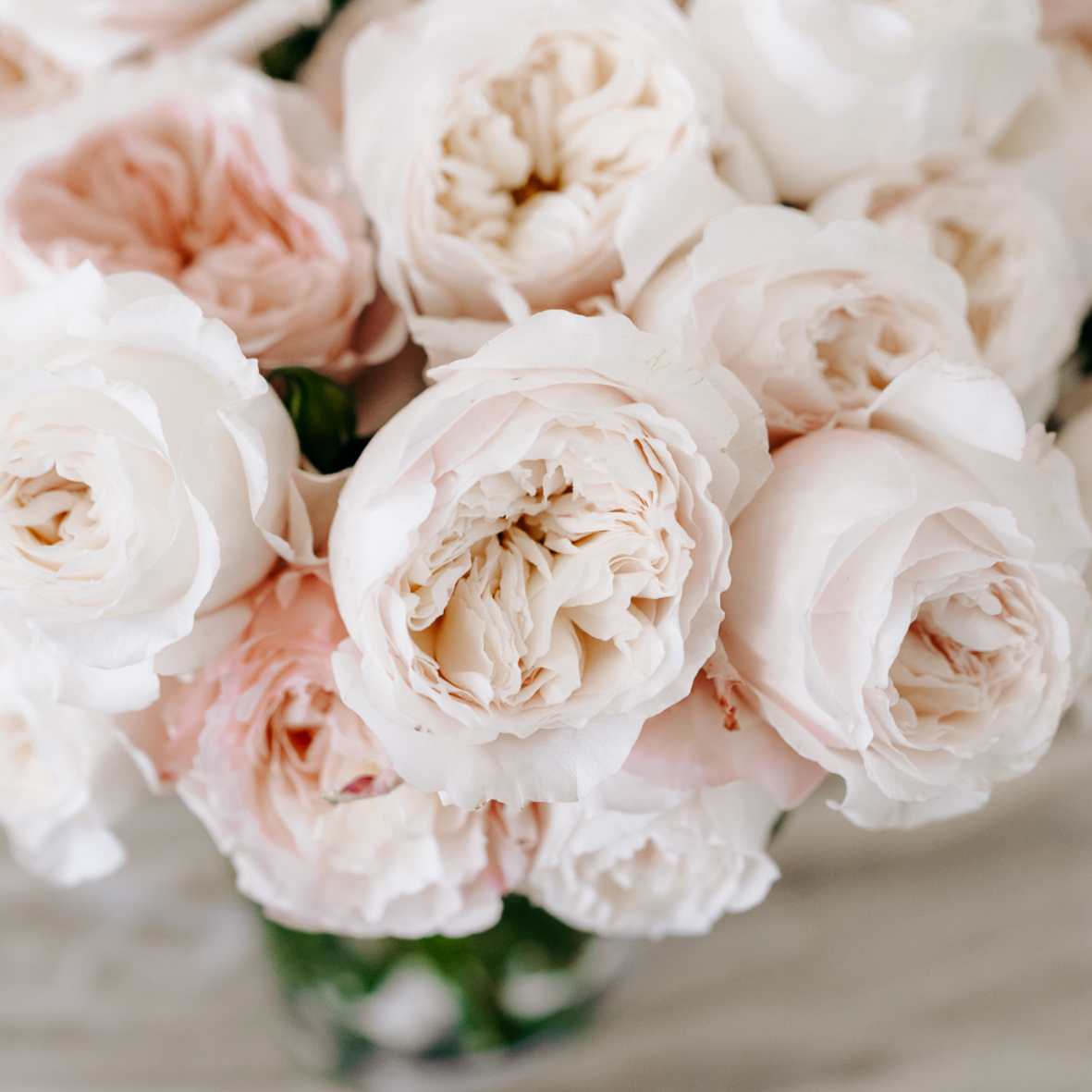 floral.