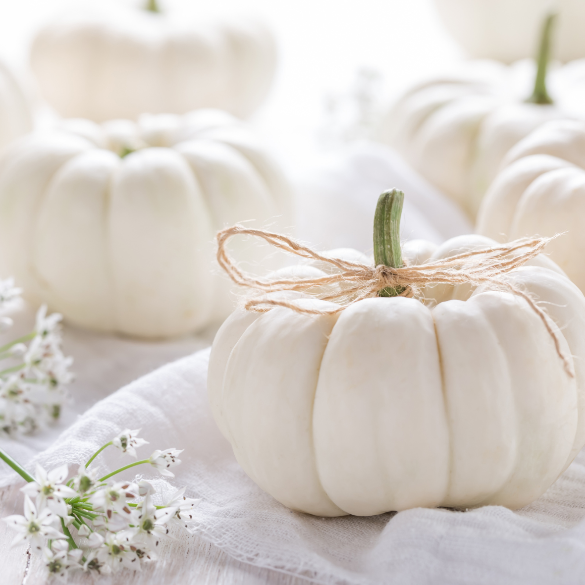 halloween.