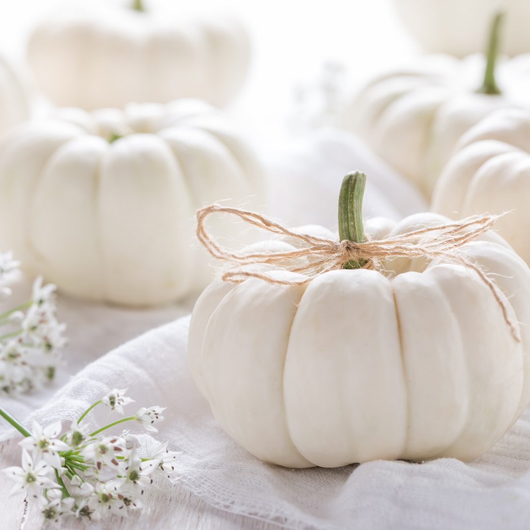 halloween.