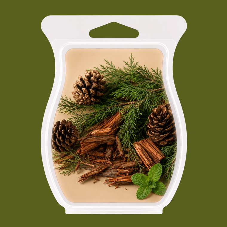 Minted Cedar Snap Fragrance Oil