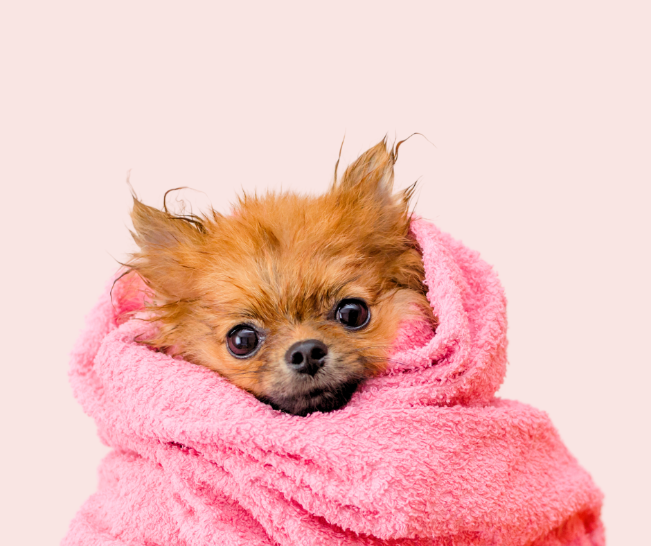 Fragrance Oil Studio